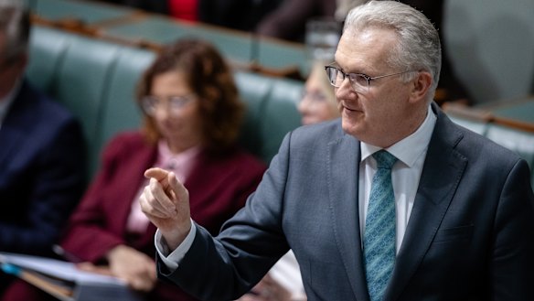 Home Affairs Minister Tony Burke.