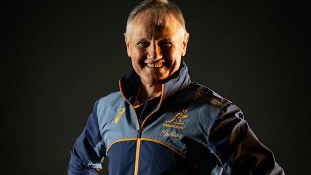 Joe Schmidt poses for a portrait during a Wallabies portrait session.