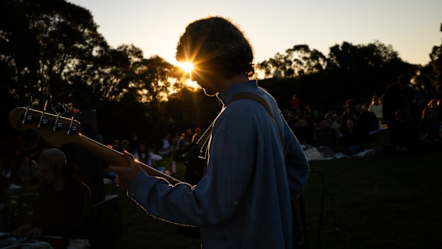 Béla Hajdu playing bass in a gig held on top of a grassy field in Alexandria’s Sydney Park.