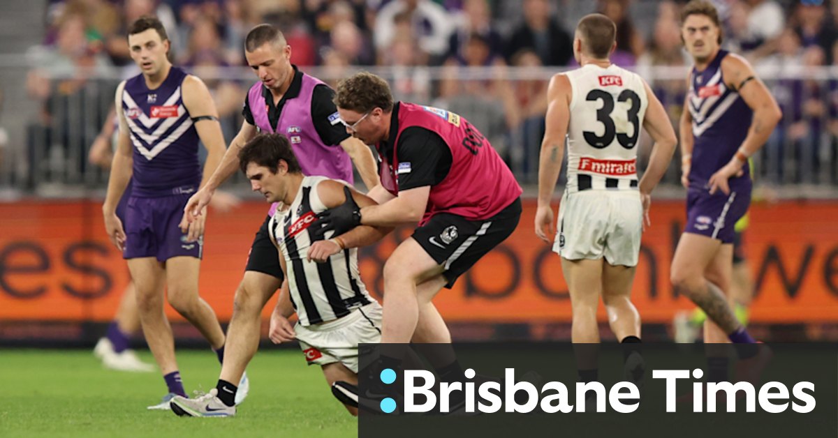 Umpires misled AFL for not stoping play over Schultz clash