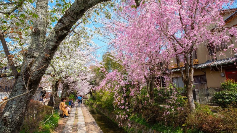 What most visitors miss on Kyoto’s bucket-list trail
