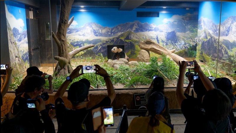 My dream trip led us to a famed zoo. It changed how I felt about Japan