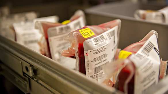 Judge says hospital can give pregnant teenager a blood transfusion