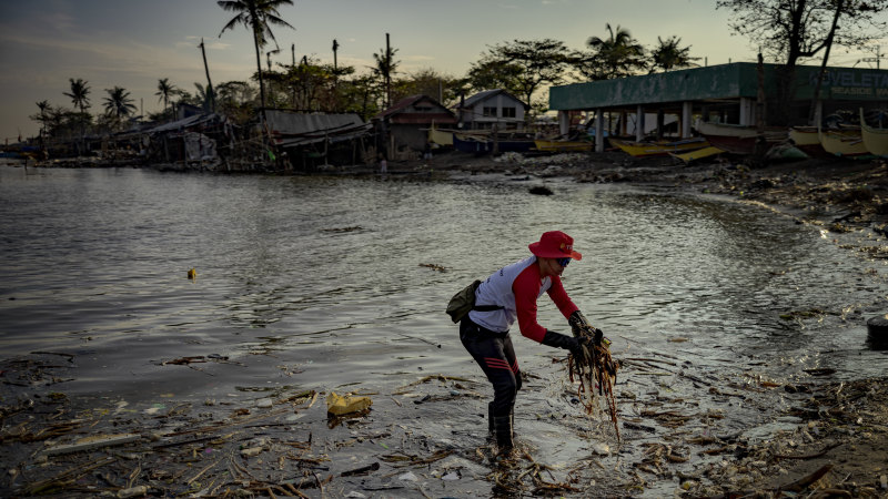World of photos, August 3, 2024