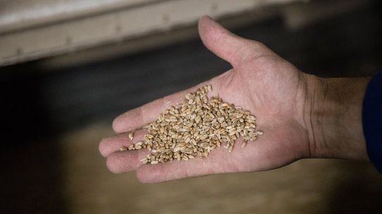 Russia and Ukraine make up more than one-third of global cereal exports.