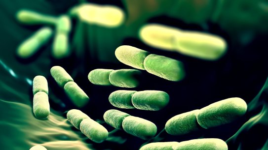 Biome Australia has developed a probiotic treatment it claims can reduce instances of asthma attacks by improving the gut biome.