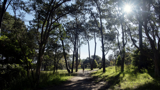 Sydney's Centennial Park heritage listed