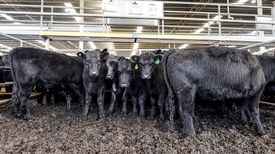The US is the biggest buyer of Australian beef.