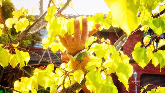 Laura is a victim of financial abuse.