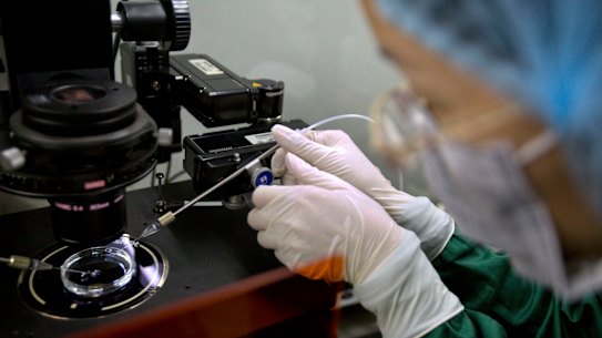 Laboratório de DNA de Queensland continua 