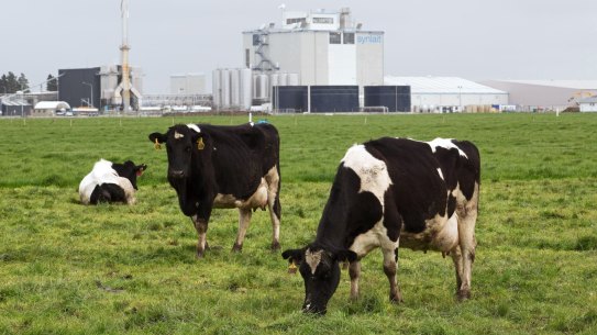 Dairy prices were among the few categories which recorded a decline in the 12 months to October.