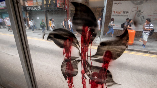 A black version of the five-petal Hong Kong Bauhinia, that features on the Hong Kong flag, is displayed on the street the morning after clashes.