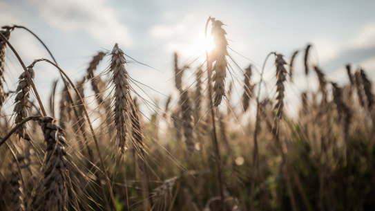 Could the heat and extreme weather shift climate change denial?