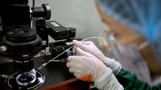 Experts have particular concerns about gene editing babies because of possible DNA changes being passed on. 