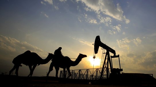 A contracting oil sector weighed on the growth of Saudi Arabia's economy in 2019, but private-sector growth was a bright spot.

