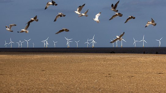 Hostility from local communities to offshore wind farms is threatening the government’s renewable energy ambitions.