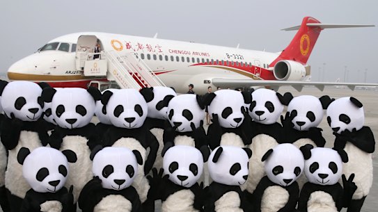 China created the state-owned Commercial Aircraft Corp of China (COMAC) in 2008 and has since ploughed tens of billions of dollars into COMAC’s development.