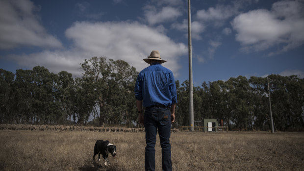 Mobile phones, 3G and the coming sounds of silence in the bush