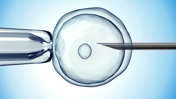 The peak IVF industry body welcomed the three-month review and the potential for a national regulatory approach.