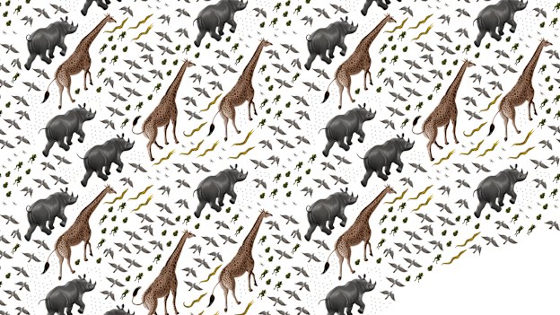 Global wildlife tracking could provide details on declining species, one million of which currently face extinction.