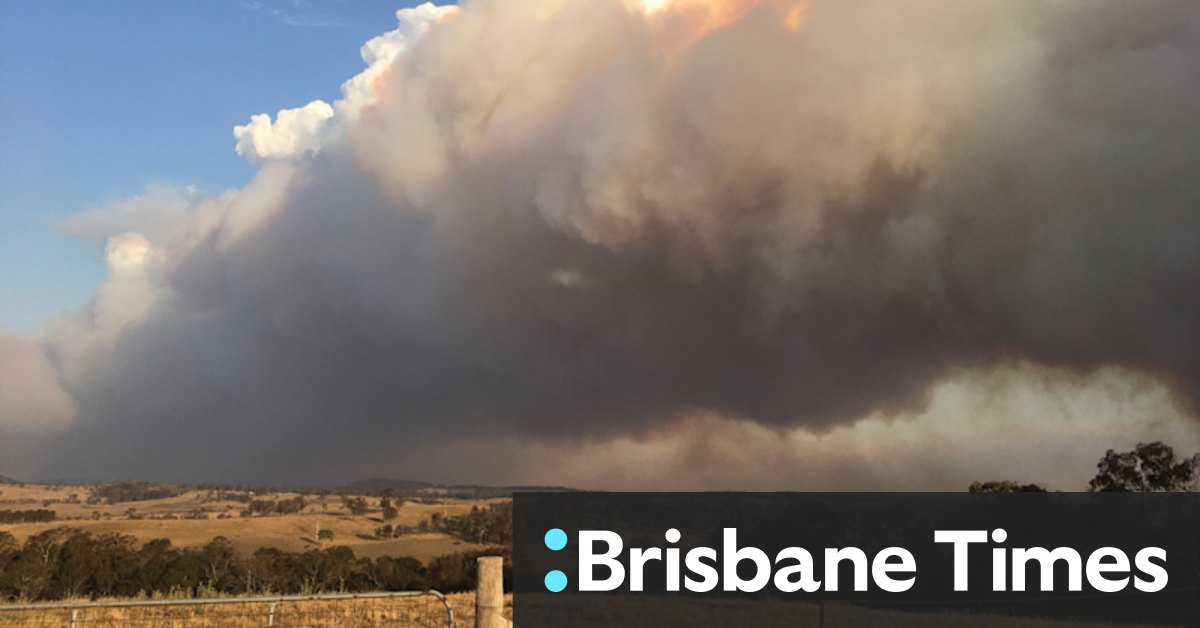 NSW bushfires: Tenterfield conditions ease after 'rough' night for residents - Vimarsana News