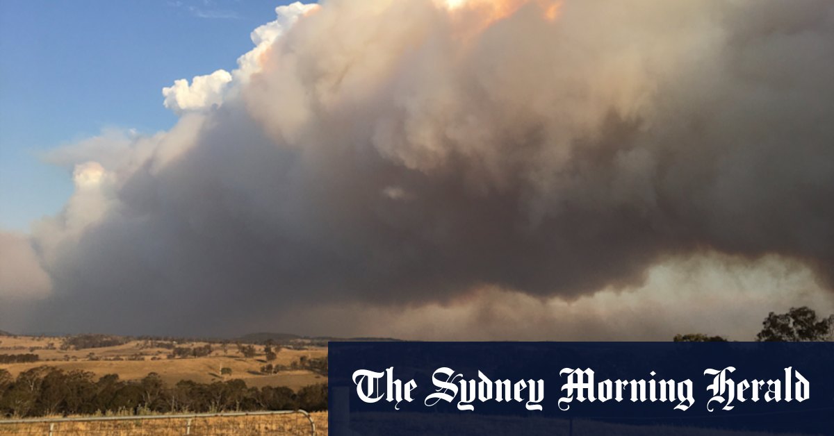 NSW bushfires: Tenterfield conditions ease after 'rough' night for residents - Vimarsana News