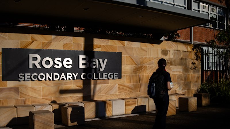 Teen charged after allegedly firing air gun at Rose Bay school