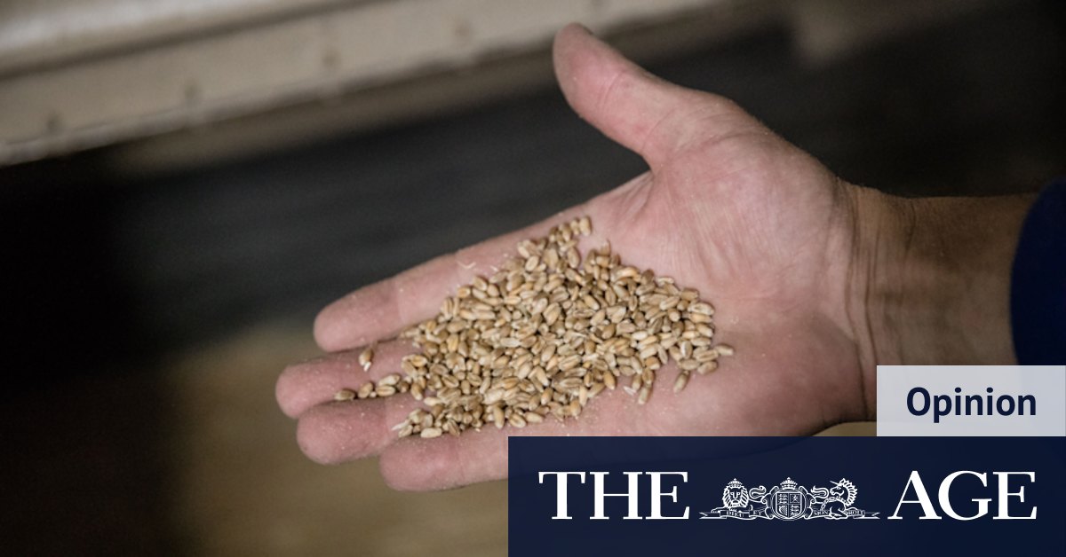 Russia-Ukraine war: Pandemic and war deliver devastating food price shock - Vimarsana News
