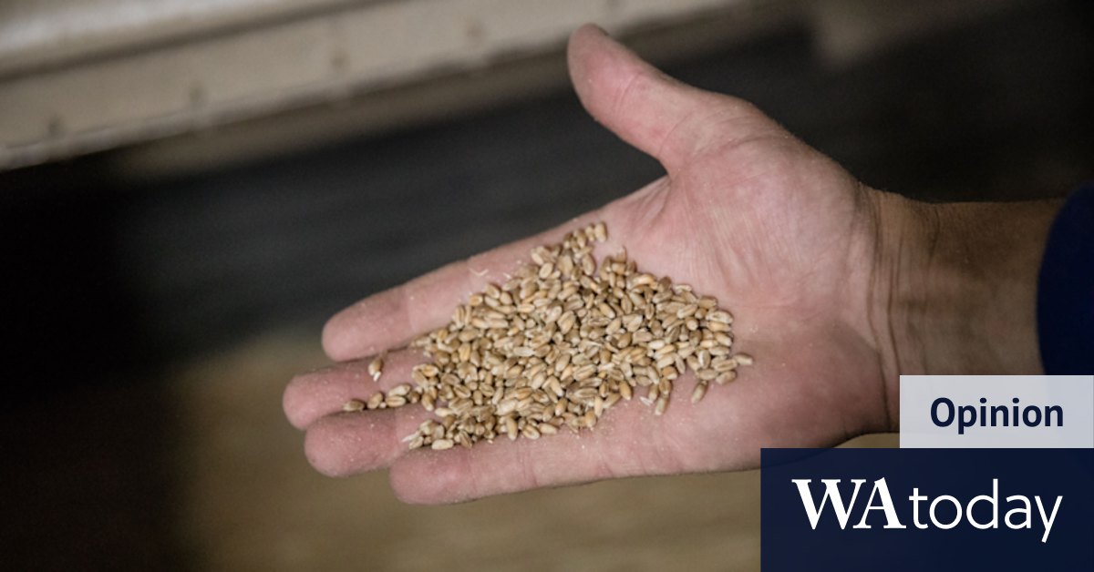 Russia-Ukraine war: Pandemic and war deliver devastating food price shock - Vimarsana News