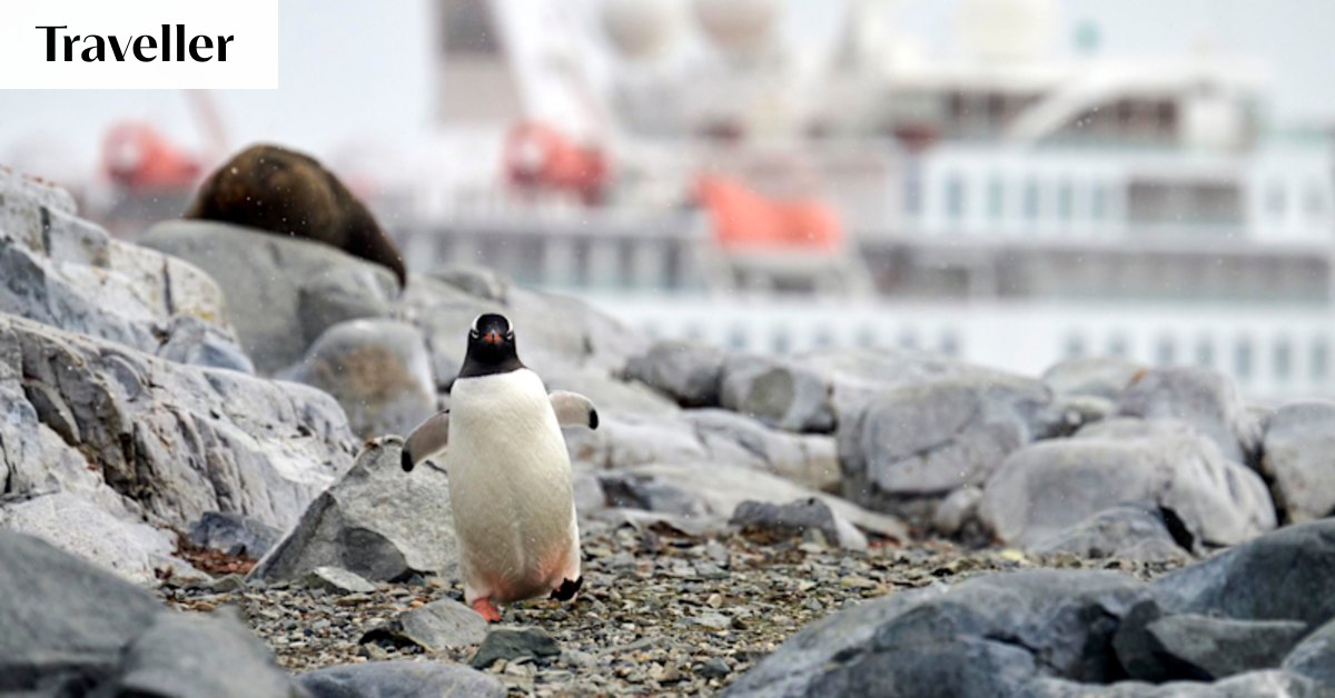 The most important choice on an Antarctic cruise isn't the ship
