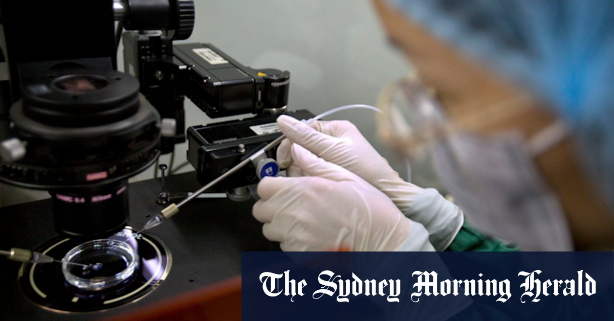 Qld’s ‘dirty lab’ leaves rape victims at risk of further assault: report