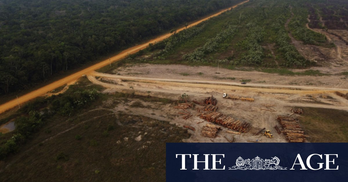 The world hopes Lula will save the Amazon. After Bolsonaro, it won't be easy - Vimarsana News