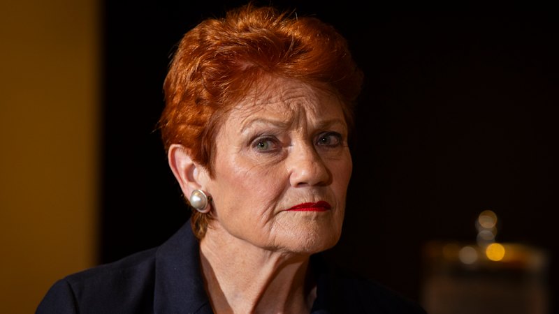 One Nation lodges overdue financial documents after warning on record-keeping