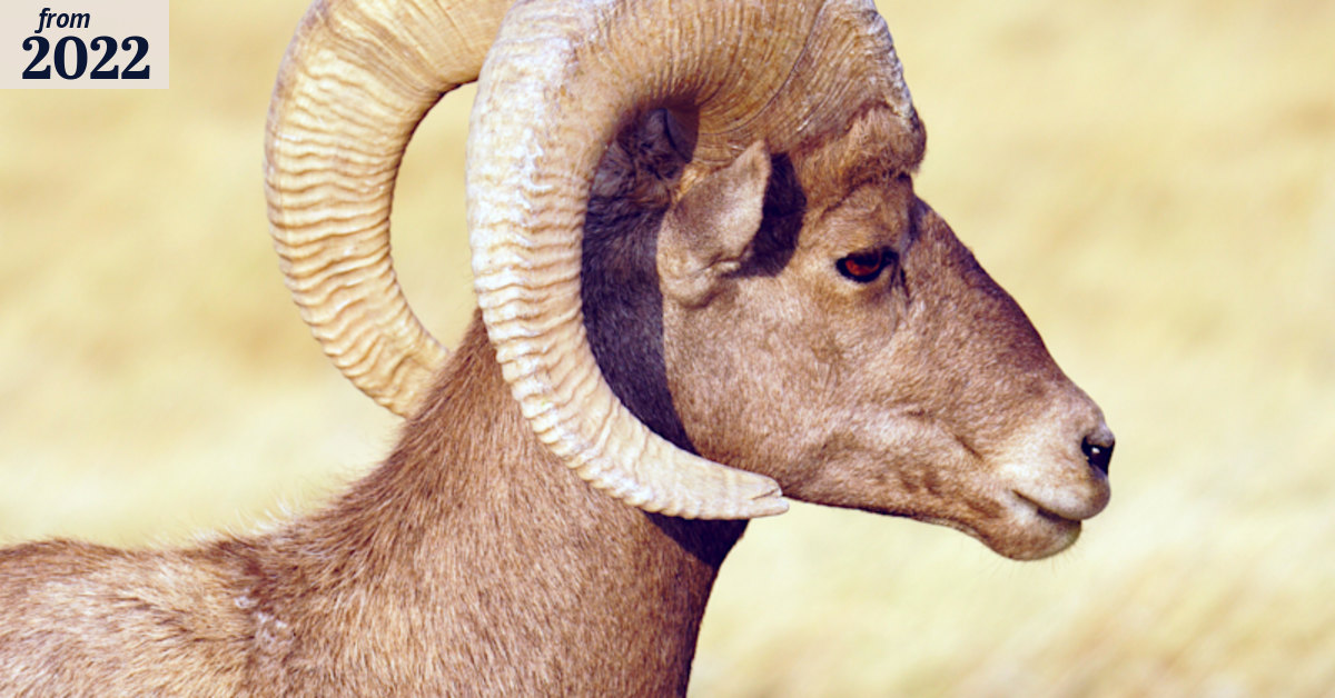 Evolution could be happening four times faster than we thought ...