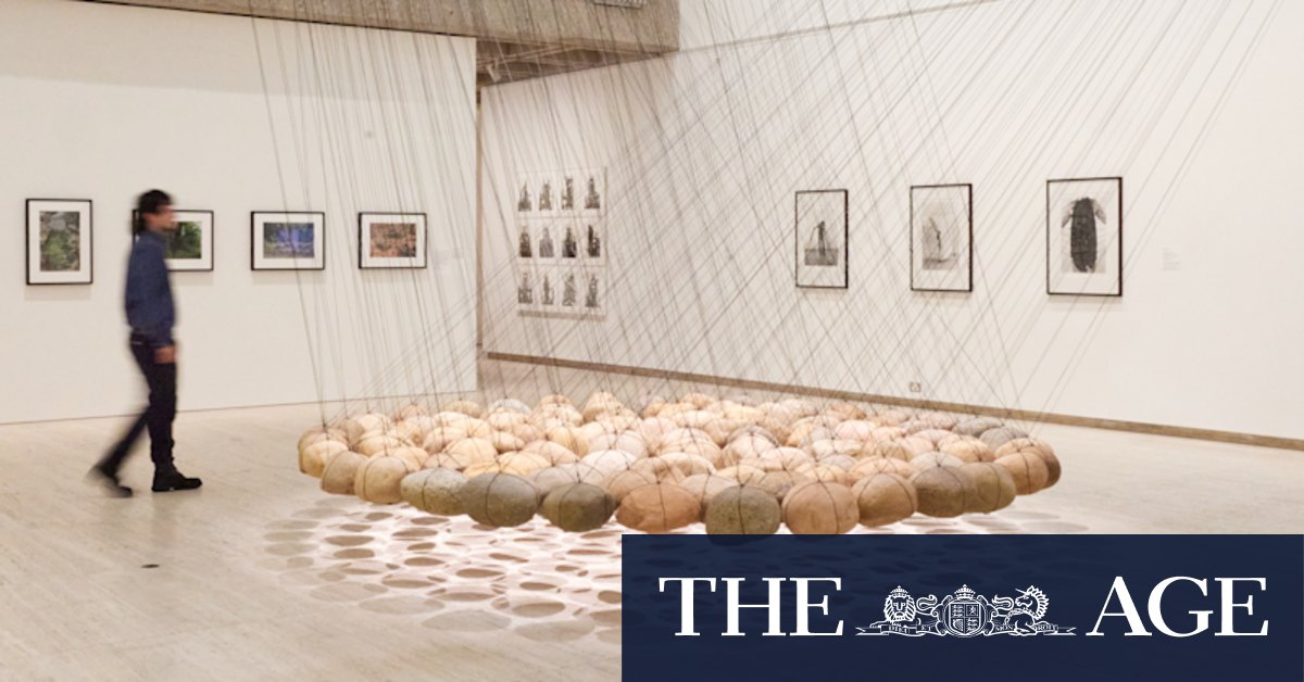 Sydney Modern: The city's sparkling new art gallery - Vimarsana News