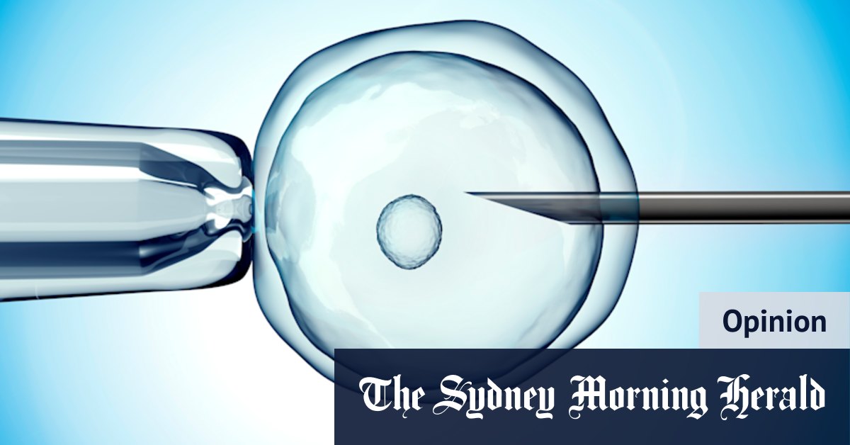 Single and aged 31, I froze my eggs through IVF. Now I’m faced with a difficult choice