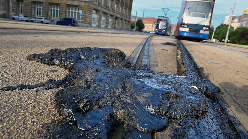Extreme heat forces cancellation of June 24 conference marking London Climate Week