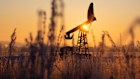 Analysts are totting up the impact of lower oil prices on Australian producers.