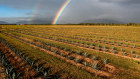 The National Farmers Federation is calling for more subsidies, despite a lucrative period for the industry.