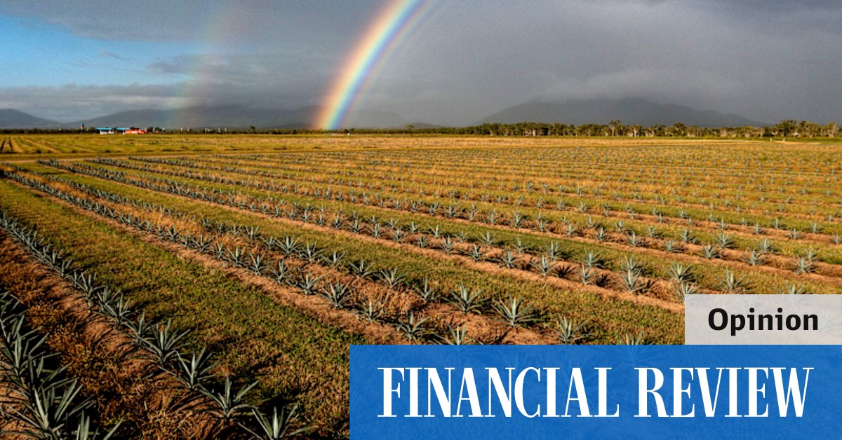 National Farmers' Federation calling for $1.5b in subsidies despite lucrative period for agriculture - Vimarsana News