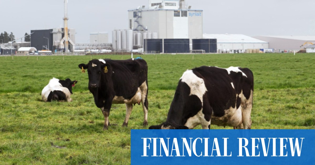 A2M ASX: Synlait gets a $NZ130m loan from China's Bright Dairy as part of a rescue package. - The Australian Financial Review