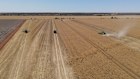 The Morman church paid $68 million for 5700 hectares near Moree known as the North Star Aggregation in March.