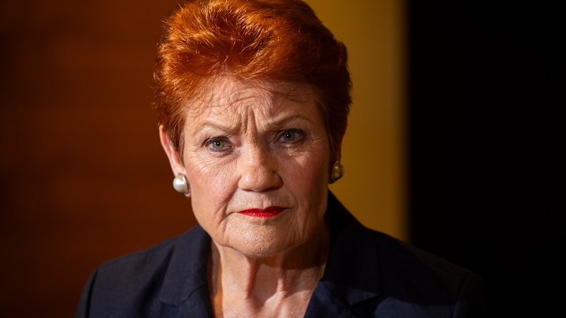 Missing financial records put One Nation at risk in Queensland