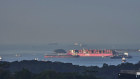 A bulk carrier and container ships offshore from Singapore, one of the countries to have barred ships from changing crew members who have recently travelled from India. 