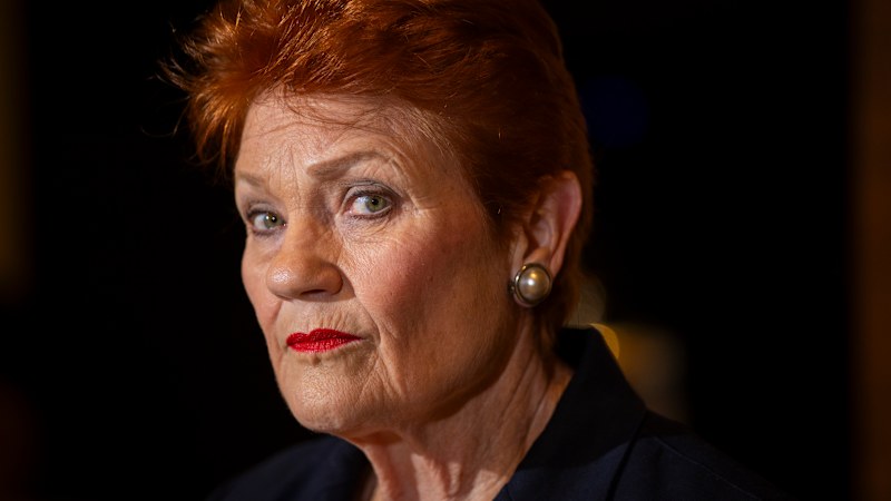 Pauline Hanson swoops on another ABA wonk