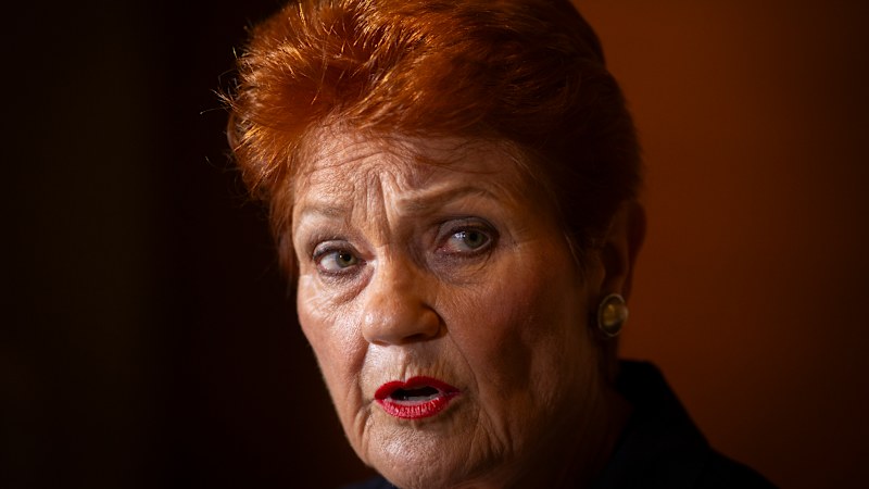 Chalmers moves to defuse widow-tax row but Senate demands swift action