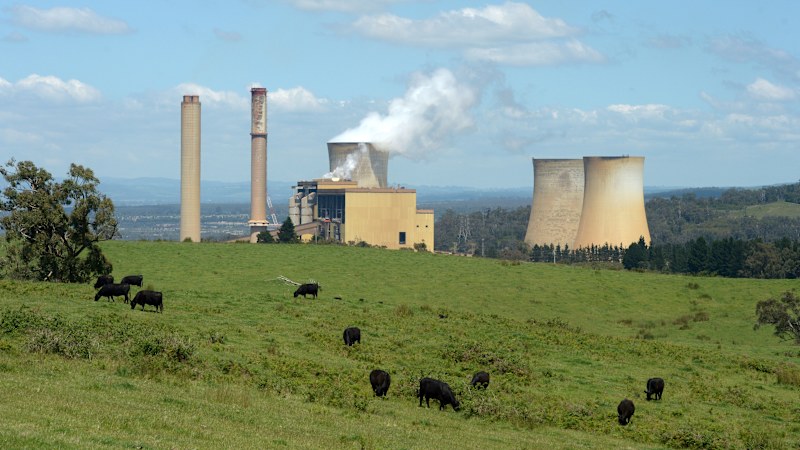 Pressure grows on Allan government over coal plant closure
