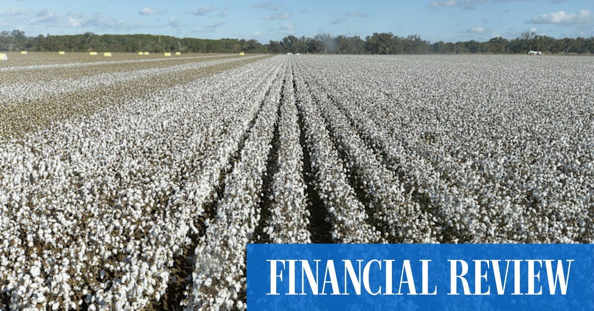ASX NAM: Louis Dreyfus hits back in bidding war for Namoi Cotton - Vimarsana News