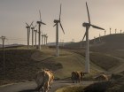 Wind is no longer Australia’s second-favourite source of power.