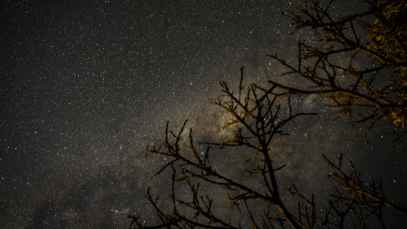 Stars steal the show at Australia’s first urban dark sky place